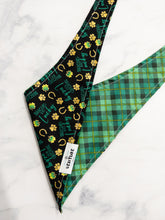 Load image into Gallery viewer, Lucky (Rescue) Pup