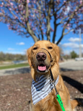 Load image into Gallery viewer, Mystery Bandana