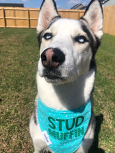 Load image into Gallery viewer, Add-On: Bandana Phrases