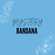 Load image into Gallery viewer, Mystery Bandana