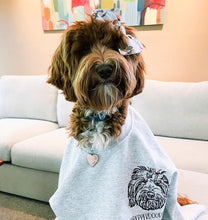 Load image into Gallery viewer, Add-On: Pet Face - Apparel