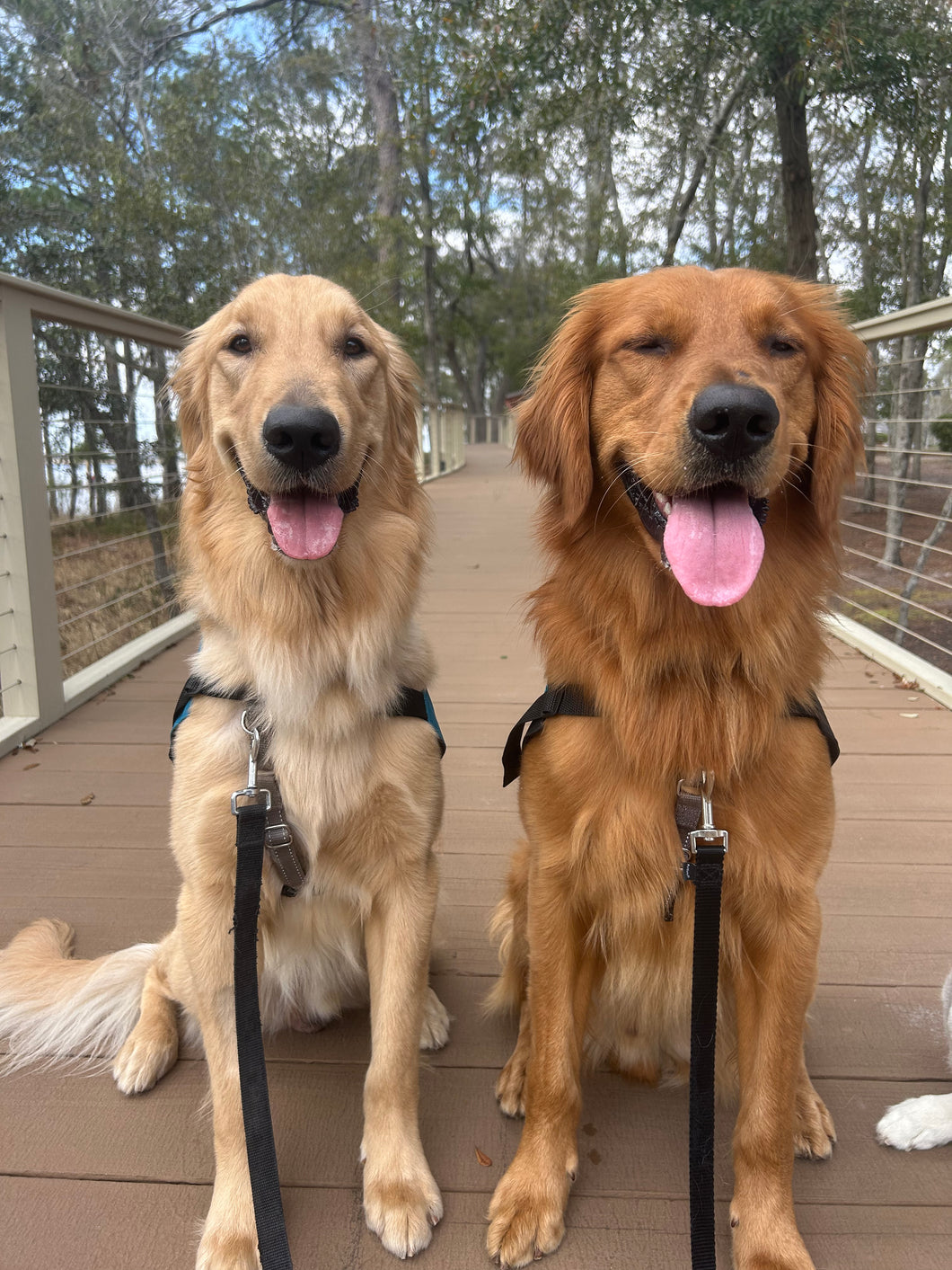 Adventure Outing