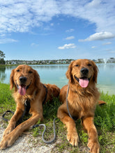 Load image into Gallery viewer, Venture Pup Club
