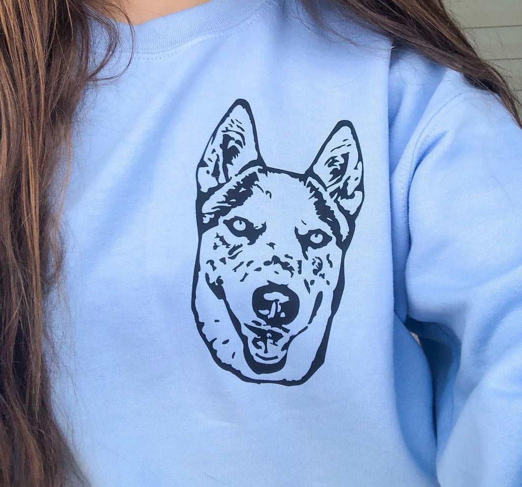 Add-On: Pet Face - Apparel